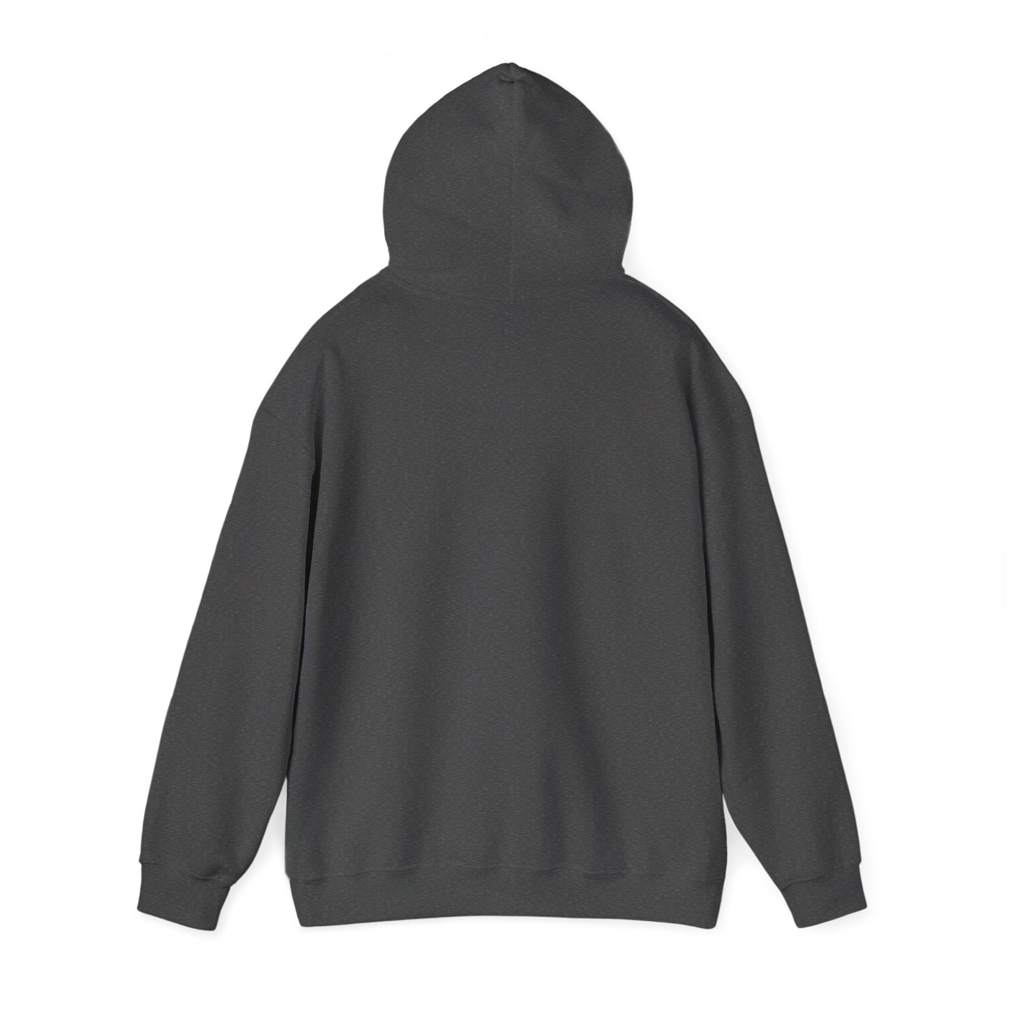 SAND Hoodie